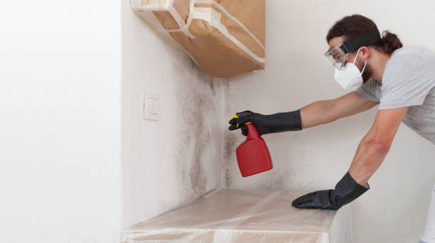 Professional Crawl Space Mold Remediation technician working in New Hill, NC