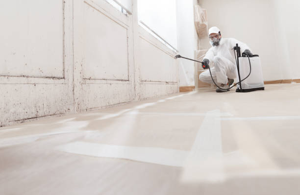 24/7 Emergency Crawl Space Mold Remediation experts in New Hill, NC