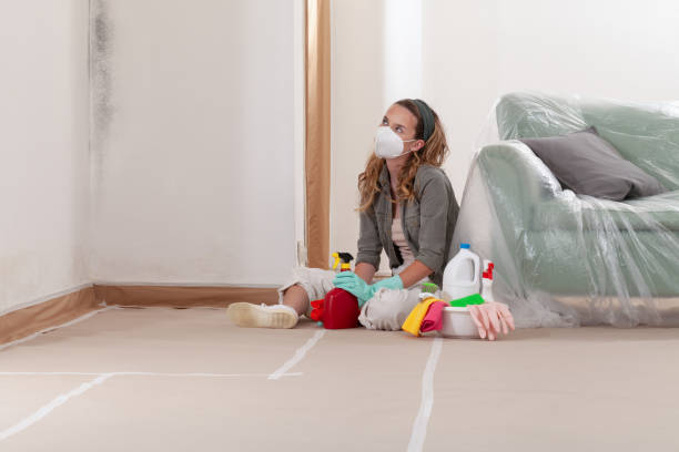 Reliable Crawl Space Mold Remediation contractor in New Hill, NC by Car Mold Remediation